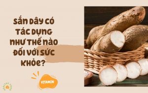 Sắn dây có tác dụng như thế nào đối với sức khỏe