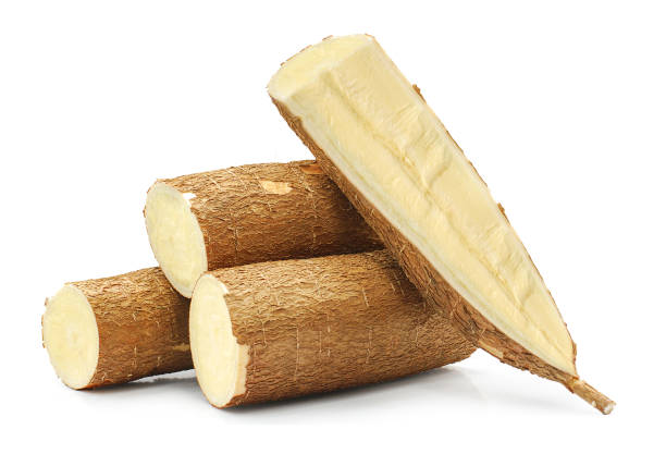 Sắn giúp ngăn ngừa ung thư