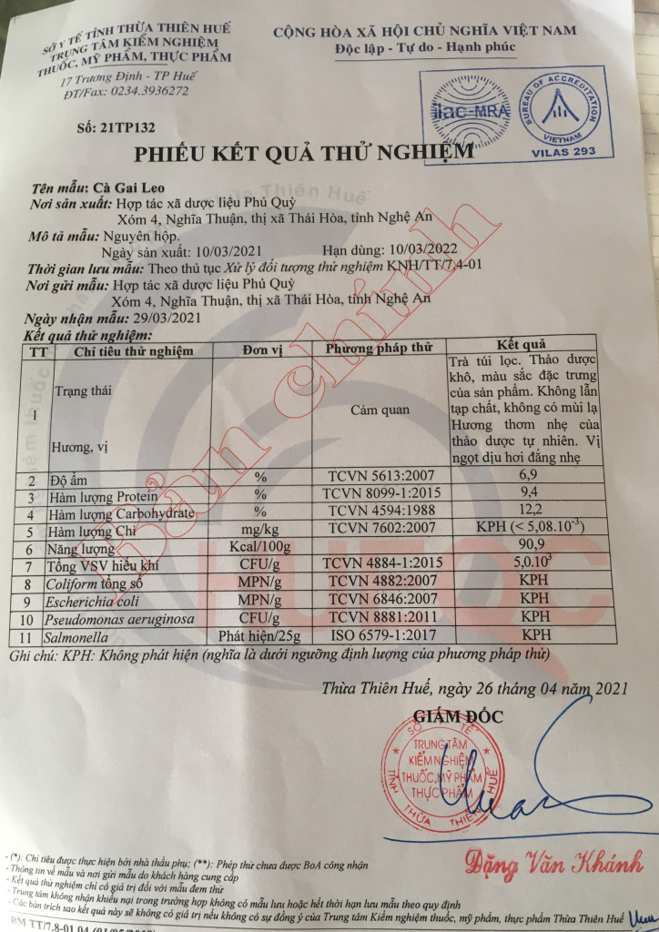 Giấy chứng nhận cà gai leo